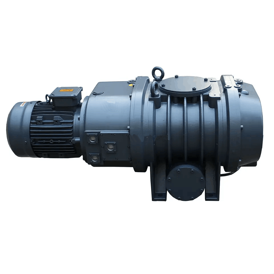 Roots Vacuum Pump