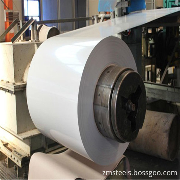 Galvanized Steel Roll