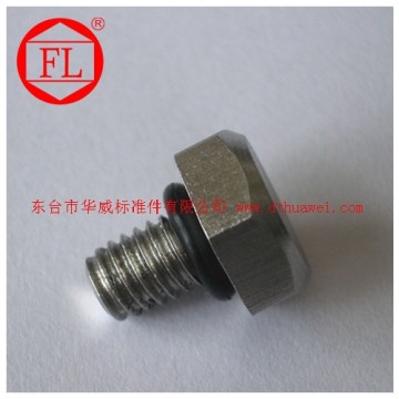Stainless steel precision waterproof screws with rubber washer fitted
