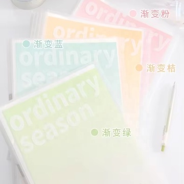 Plastic Display A4 Data File Pockets - Document Folder