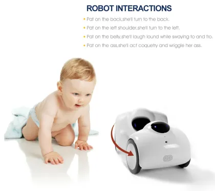 Multi-function Intelligent Robot