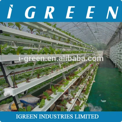 Commercial NFT hydroponics system