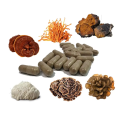 Lions Mane Supplement 10:1 Lion's Mane Powder