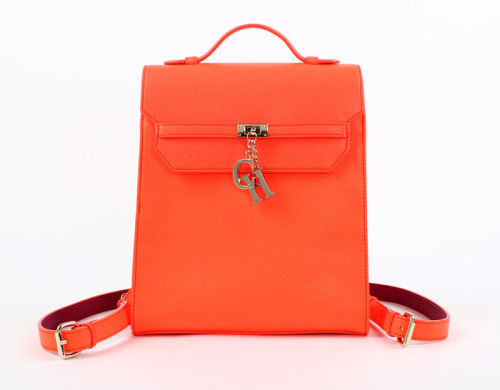 Fashionable and Classic Stylish Ladies PU Backpack/Handbag (C70686)