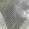 Foglio di impalcature in mesh trasparente