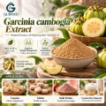 Extrato de Garcinia Cambogia com 50% –60% de ácido hidroxicítrico