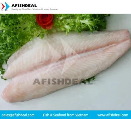 FROZEN PANGASIUS FISH - SWAI -  BASA
