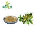 Olive Polyphenols Olive Leaf Extract