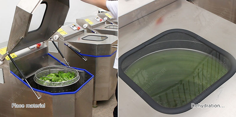 Lettuce Dryer Spinner