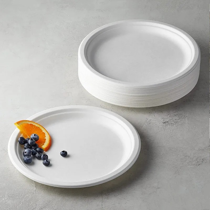 Paper Plate & Bowl