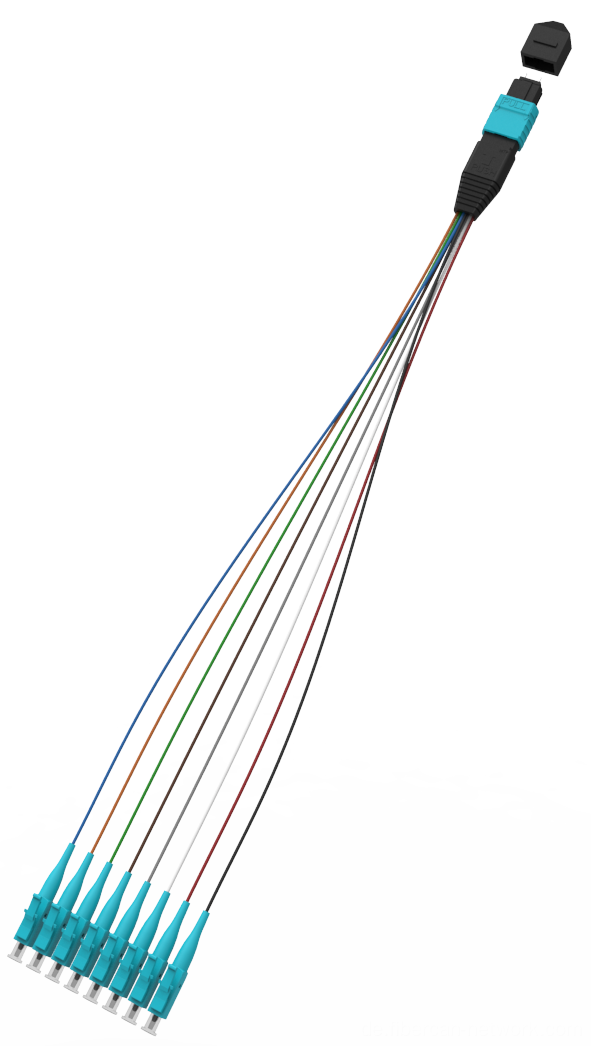 Glasfaser -Optik- und MPO -Kabelbaum