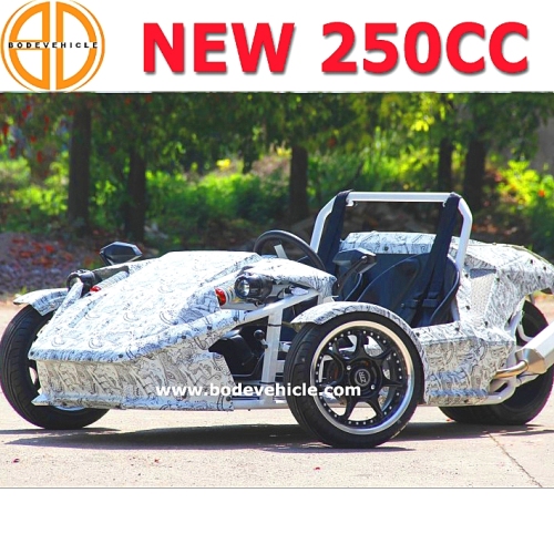 Presagia calidad garantizada Ztr Trike 250cc Roadster para venta Bc