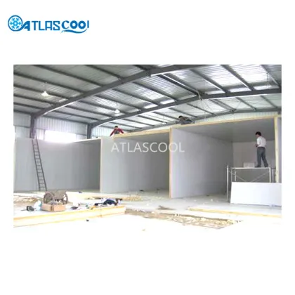 Industrial Prefabricated Cold Storage Rooms