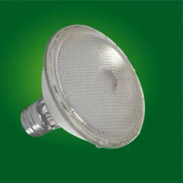 High Power 6.6W PAR 38 LED PAR Lamp