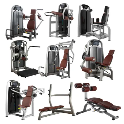 Seated Leg Curl Machine