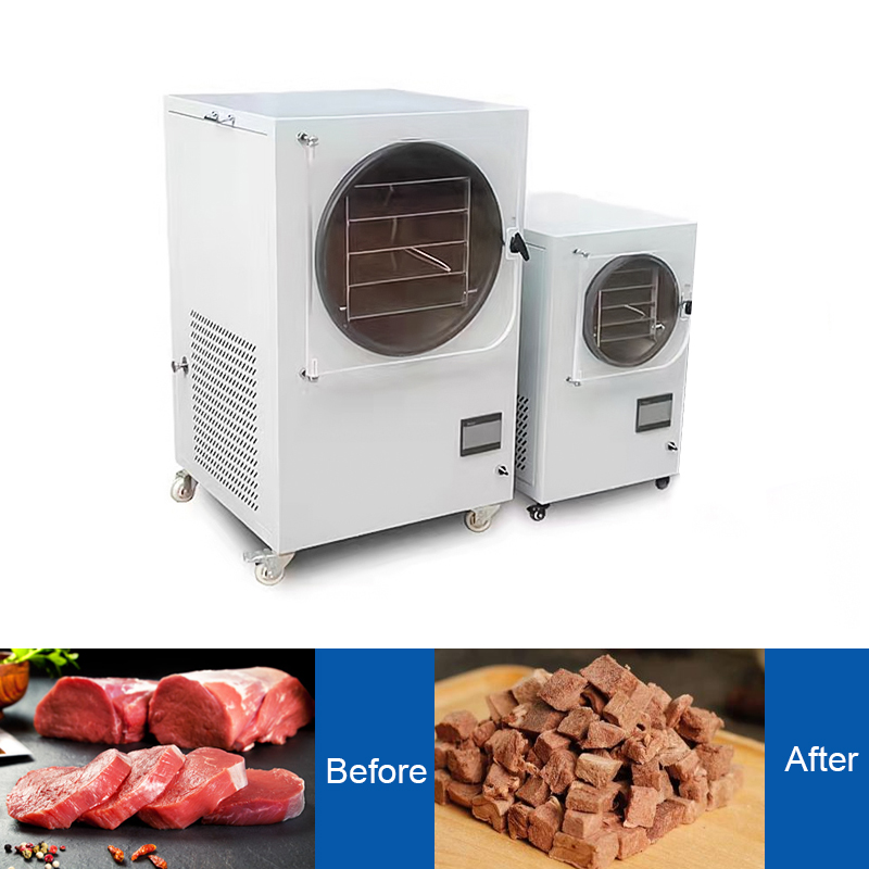 mini freeze dryer for home use