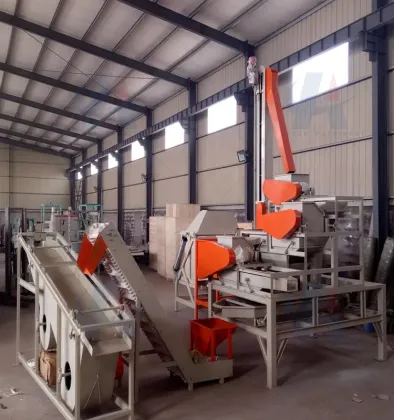 Walnut and Pecan Shelling Processing Line