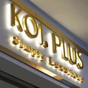 Backlit Led Letter Sign