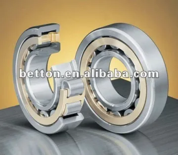 2013 China Cylindrical Roller Bearing N218
