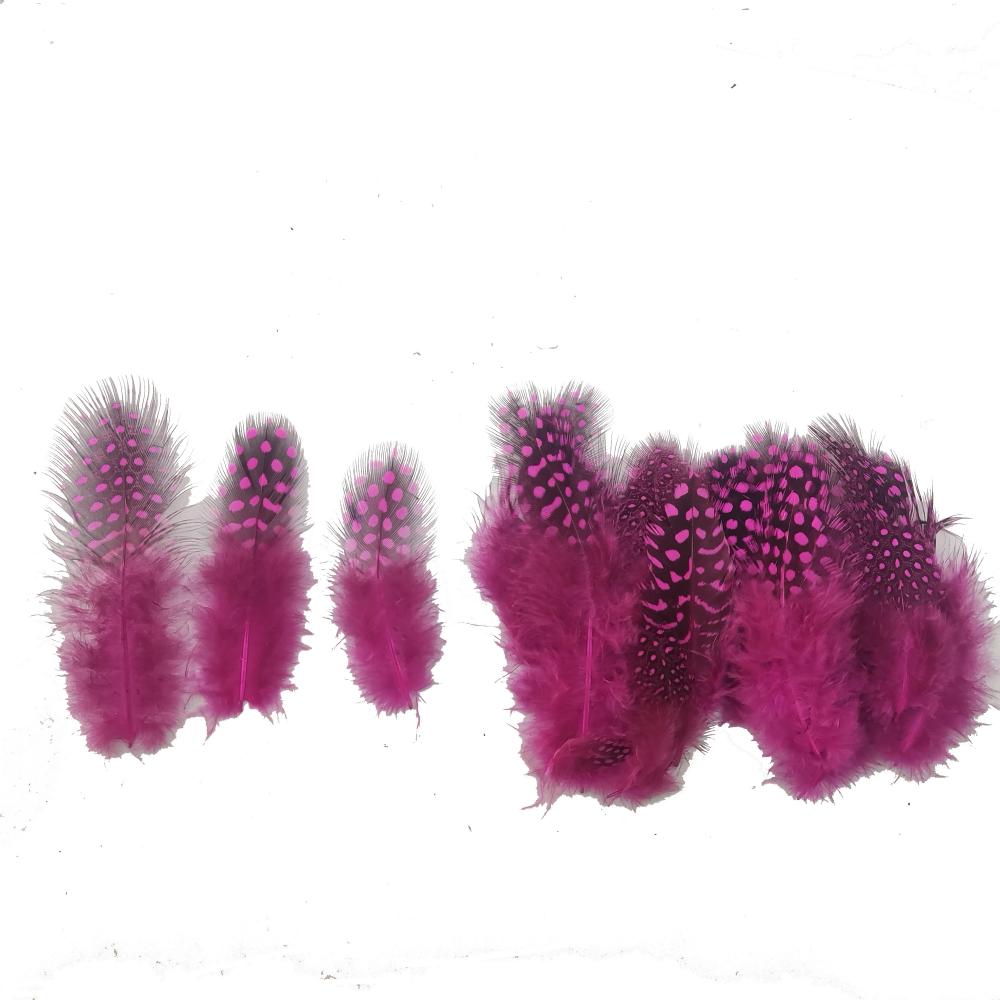 Pink Feather