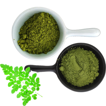 wholesale Moringa Oleifera Leaf Powder