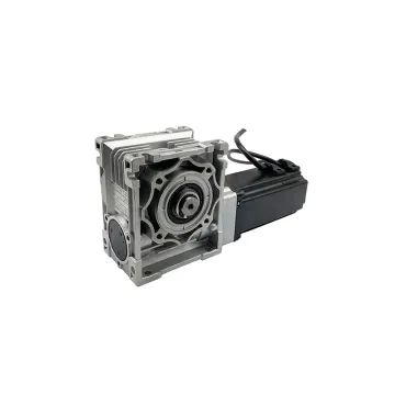 Worm Gear BLDC Motor 48V 500W Brushless DC Gear Motor