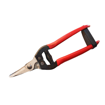 Professional Garden Tool Stainless Steel Bypass Garden Pruning Shears Hand hiseed Pruners Garden Clippers Cutting Scissors
