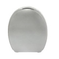 4 Inch Raised Toilet Seat with locking