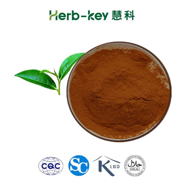 Grüner Tee-Extrakt, Tee Polyphenol, EGCG, Katechine