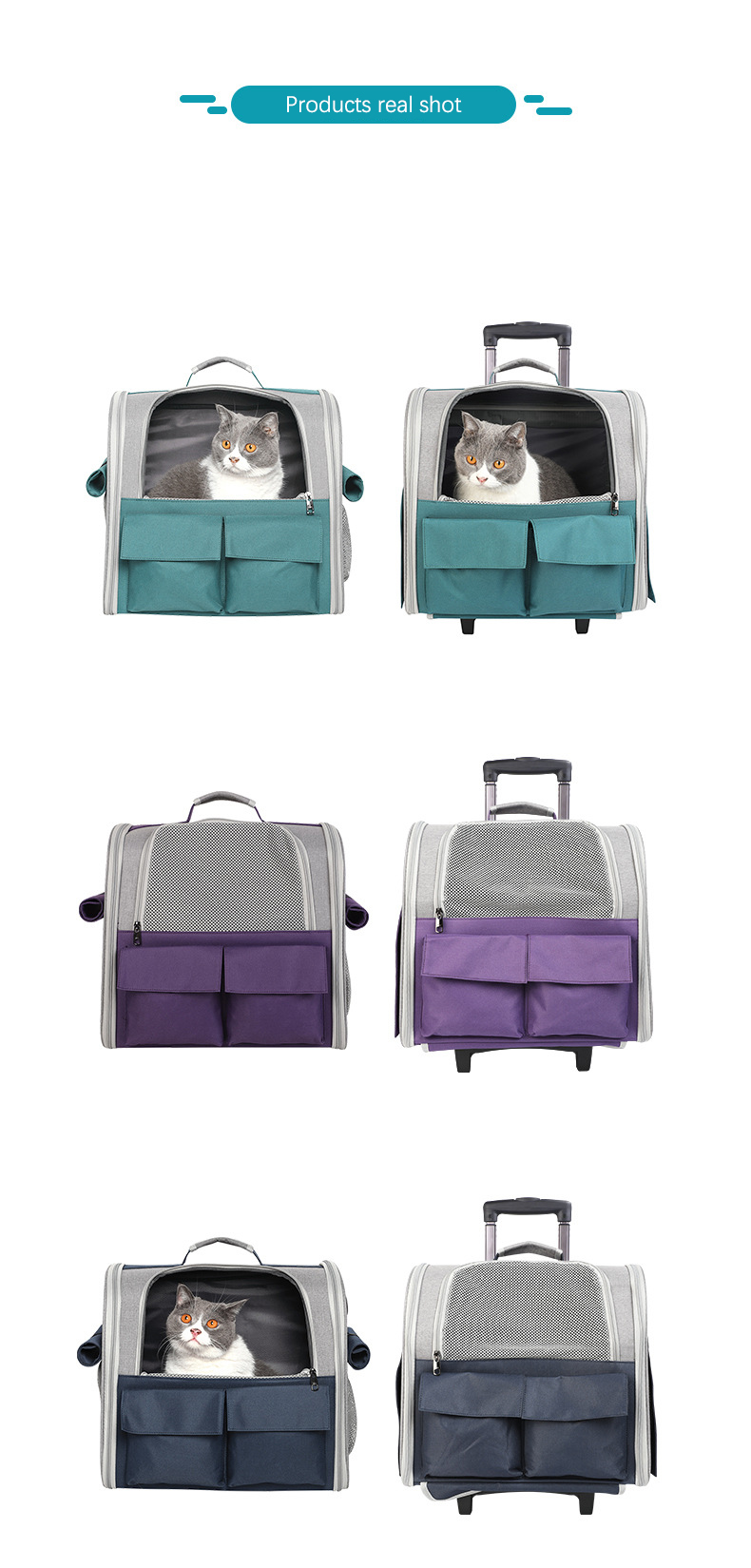 Pet Travel Carrier