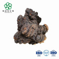 영양 보충제를위한 Chaga Mushroom Exptact