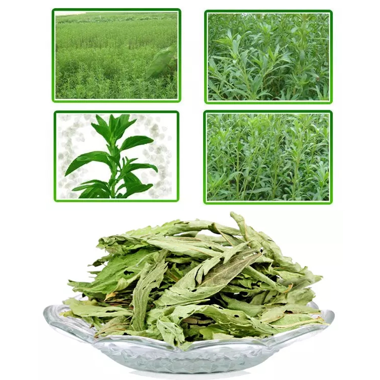 Stevia Leaf Extract