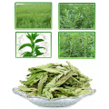 Sweetener Stevia Leaf Extract Powder Stevioside