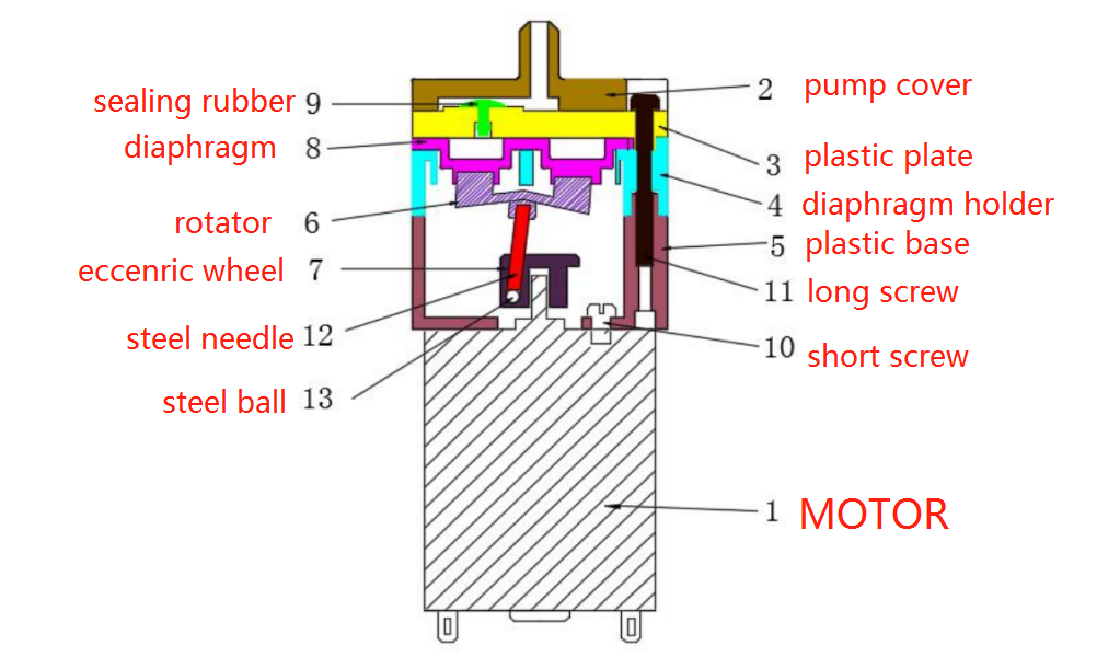 Pump Structure