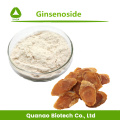 Extracto de raíz de ginseng rojo coreano Ginsenoside 5% en polvo