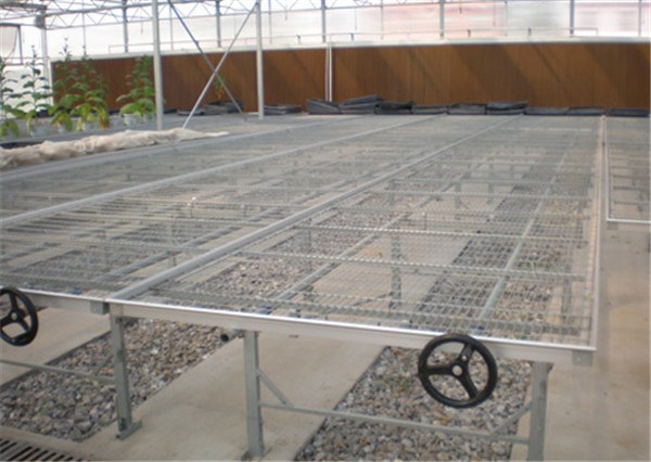 Agriculture Seed rolling bench For Greenhouse