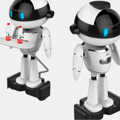 Domestic Household Robot Industrial Design and Engineering