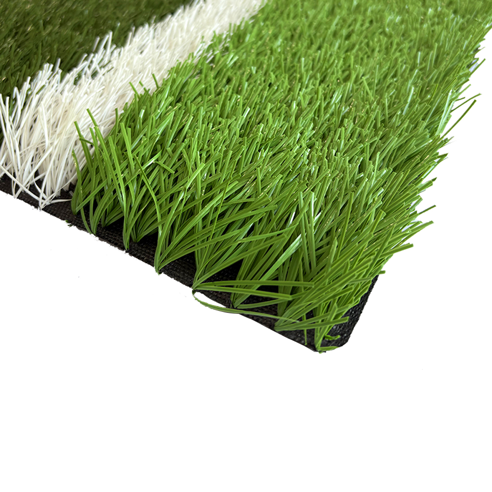 Football grass L6P0