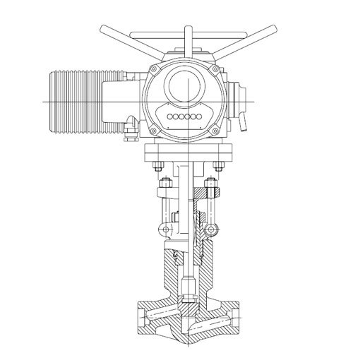 Electric Actuated Globe Valve