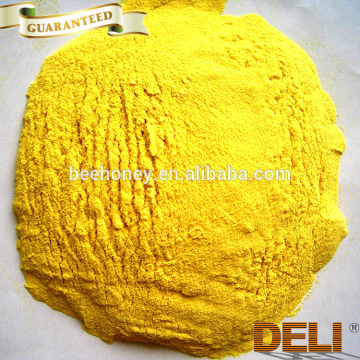 fresh and newest camellia bee pollen powder exported to US