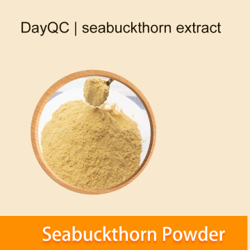 Seabuckthorn Powder seabuckthorn extract