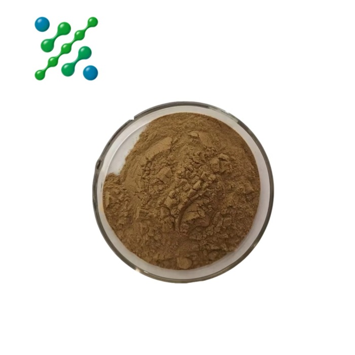 Andrographis Paniculata Herbal Extract Powder 40%