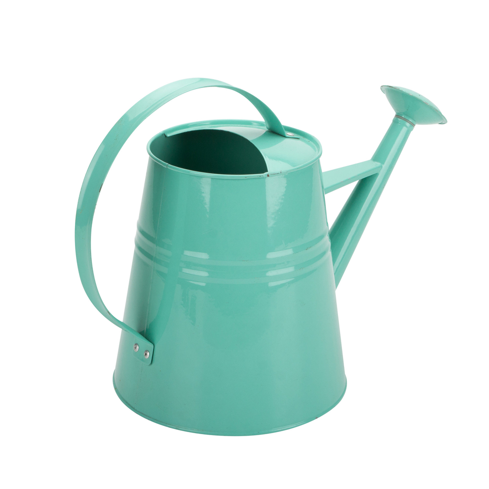 Toy Watering Can