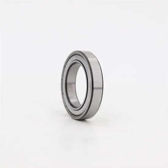 6006ZZ 2RS Double Sealed Single Row Radial Ball Bearing - Ceramic General Deep Groove Ball Bearing