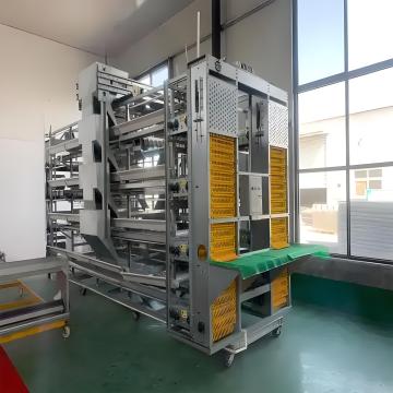 High Quality Egg Picking System for Poultry - Chicken House Collection Equipment