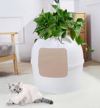 Flower Pot Ideas: Planting in Cat Litter Boxes