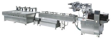 Chocolate Pillow Type Packaging Line