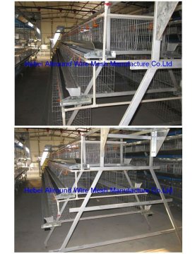 chicken cages for poultry farm(factory)  