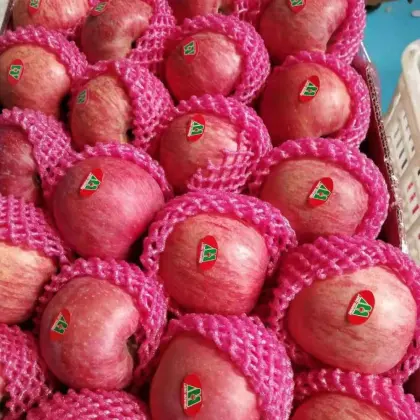 Fresh Paper Bag Fuji Apple