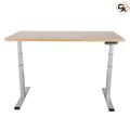 Classic Home Office Standing Electric Desk